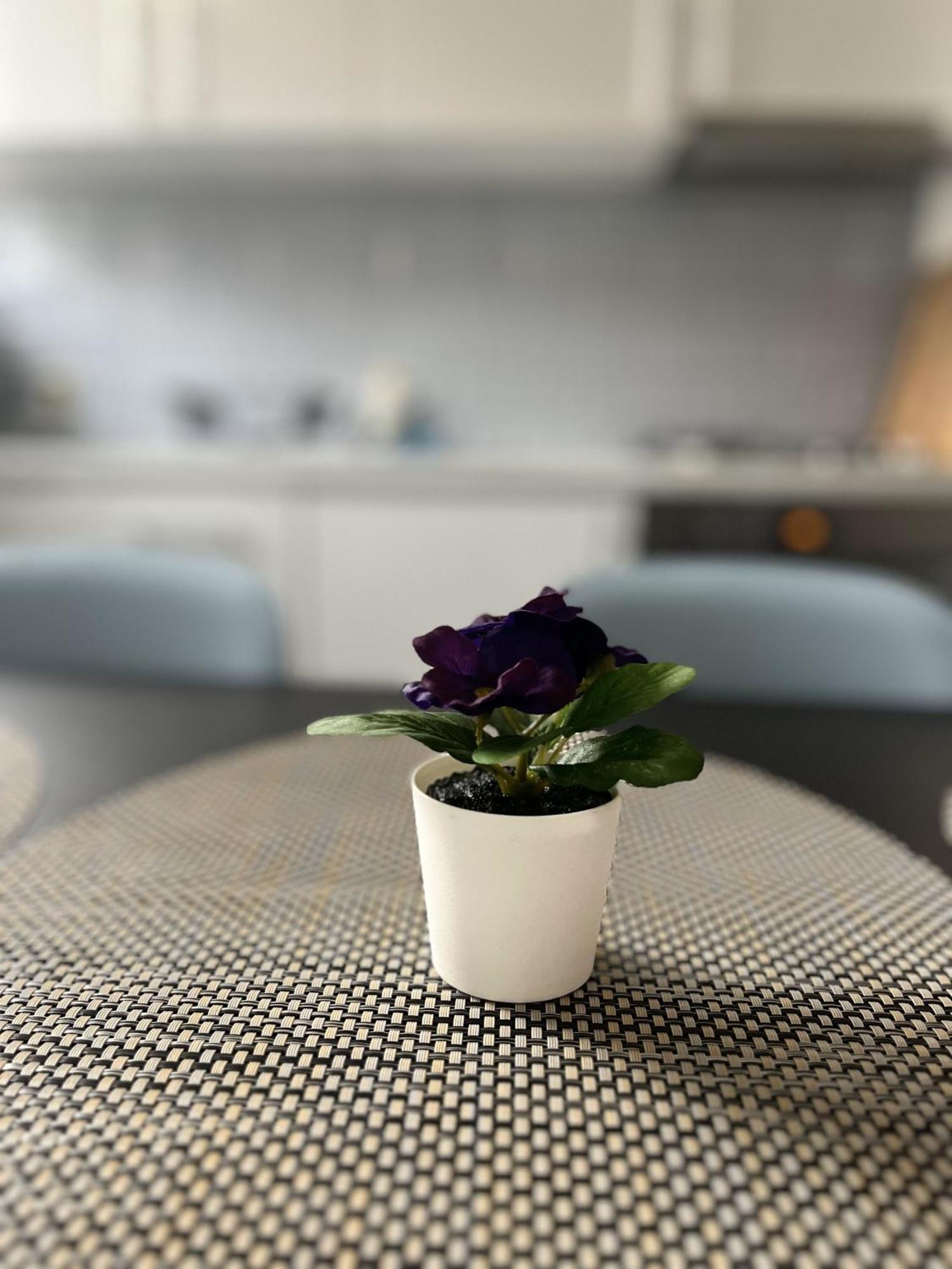 Apartamenty Przy Muzeum Gdaňsk Exteriér fotografie